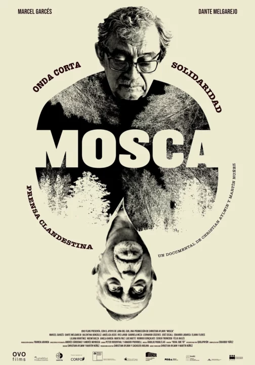 Mosca