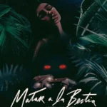 matar a la bestia poster de la pelicula